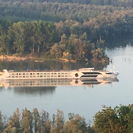 Вилла Kuca Za Odmor Brzica Erdut Экстерьер фото