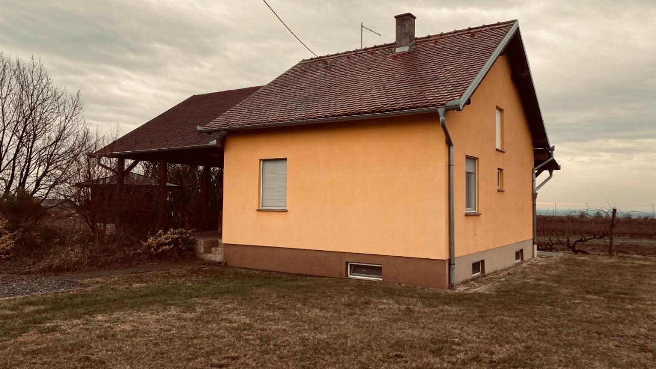 Вилла Kuca Za Odmor Brzica Erdut Экстерьер фото