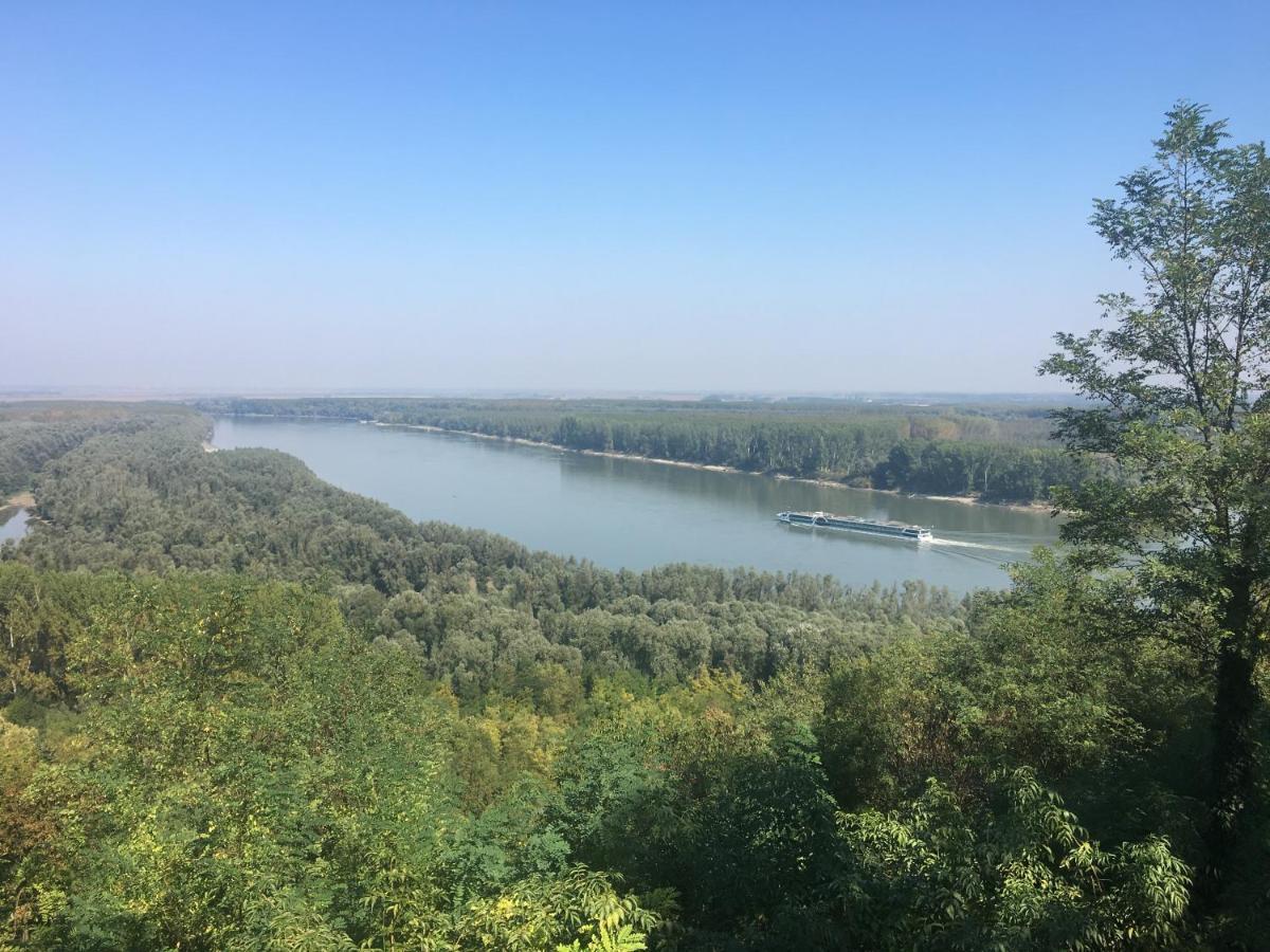 Вилла Kuca Za Odmor Brzica Erdut Экстерьер фото